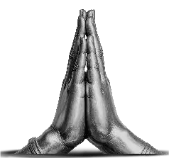 ANJALI Mudra