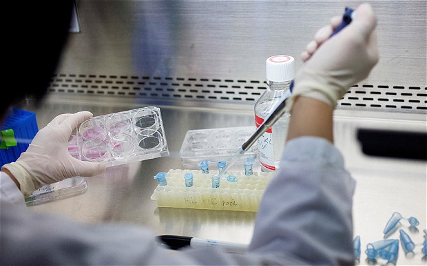 India Proposes To Regulate Stem Cells As Drugs; To Require Clinical Trials, Licenses