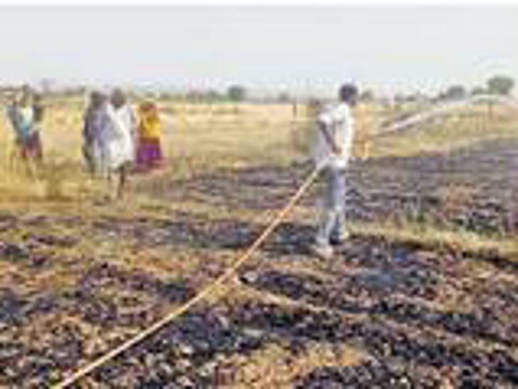 अन्नदाता की मेहनत पर आग, मिनटों में तबाह हो गई फसल