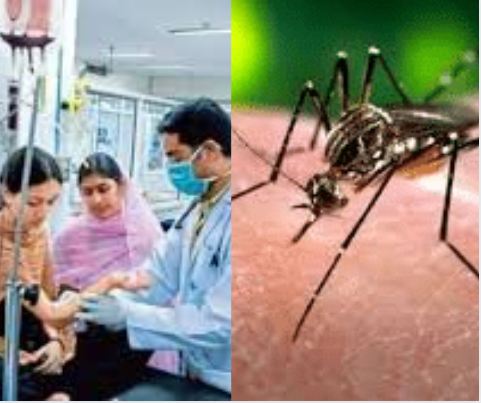 राजस्थान में बढे डेंगू के मरीज, 4121 मरीज अस्पताल में भर्ती