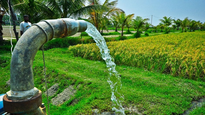 अब रुक सकेगी खेतों में पानी की बर्बादी, फसल खुद बताएगी पानी चाहिए या नहीं !