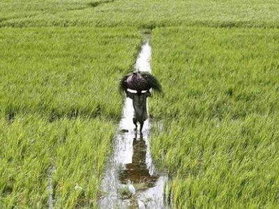 Battered by policies of BJP, Raj farmers get helping hand from CM Gehlot