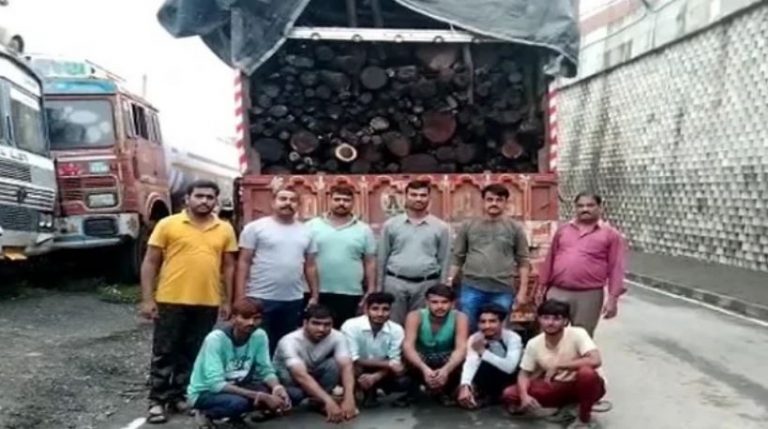 डूंगरपुर में लकड़ियों से भरे 6 ट्रकों को पुलिस की स्पेशल टीम ने किया जब्त