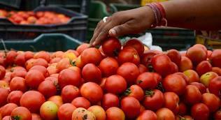 Tomato prices: consumers pockets bleed red