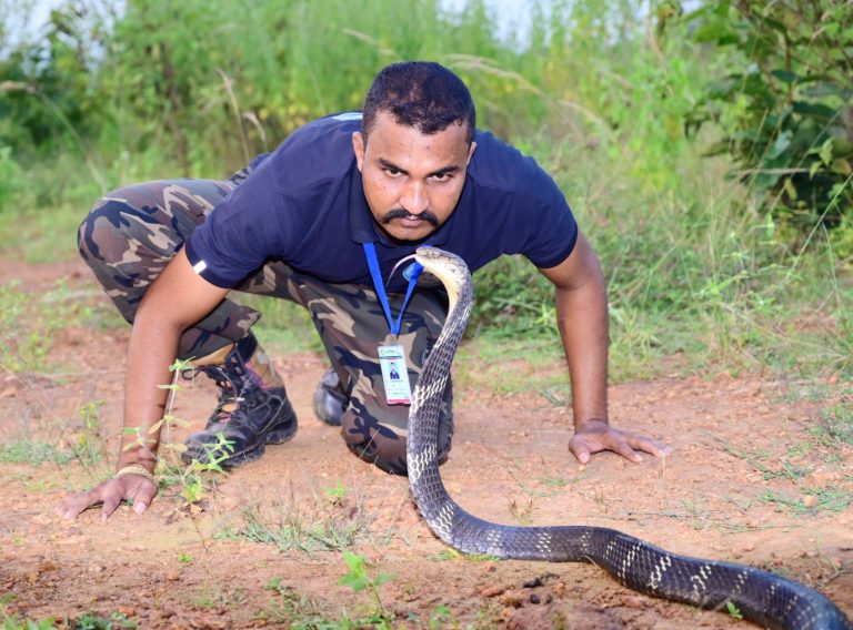 Sarpmitra Akash Jadhav: The Animal-Rescue Activist with a Message of Compassion