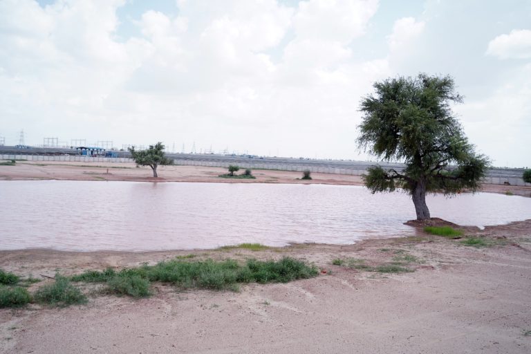 Adani Foundation helps restore water bodies in Jaisalmer